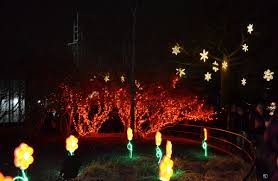 Zoo Lights 10 Zoo Lights Washington Dc Lights