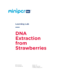 Ask them what the four main steps were of the dna extraction. Https Www Minipcr Com Wp Content Uploads Strawberry Dna Extraction Lab Minipcr V1 0 Pdf