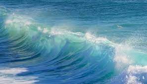 We did not find results for: 100 Arti Mimpi Melihat Laut Lepas Biru Dangkal Menurut Islam Primbon Mimpi Melihat Melahirkan