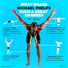 Michael fred phelps ii was born on june 30, 1985 in towson, maryland, usa. Michael Phelps Body Is Perfect For Swimming