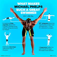 View products in the online store, weekly ad or by searching. Michael Phelps Body Is Perfect For Swimming