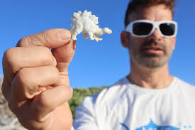 Boyan gives a 'trash tour' of the strangest objects we recovered from the  Great Pacific Garbage Patch.