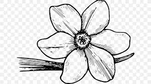 Download Clip Art Coloring Book Flower Colouring Pages Drawing Png 640x461px Coloring Book Artwork Black And White