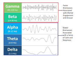 Simple Brain Wave Chart Usdchfchart Com