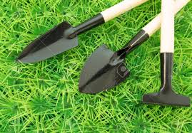 lustige hintergrundbilder uber der arbeit im garten wachsendes gemusegarten lizenzfreie fotos bilder und stock fotografie image 68419698 stock photo