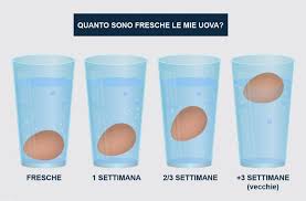 Maybe you would like to learn more about one of these? Le Uova Che Hai Acquistato Sono Ancora Fresche Ecco Come Scoprirlo