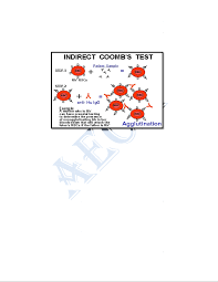 Image result for Indirect Coombs