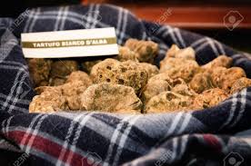 White Truffles Tuber Magnatum Pico On A Trader Stall Of The Fiera Del Tartufo Truffle Fair Of Alba Piedmont Italy Most Important International Truffle Market In The World Stock Photo Picture And