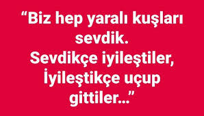Bir Nur Kose Adli Kullanicinin Guzel Sozler Panosundaki Pin Guzel Soz