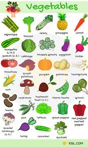 list of vegetables useful vegetables names with images 7