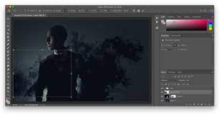Now the difference between food and photoshop is that photoshop layers can be altered at any time. How To Resize A Layer In Photoshop Purple11