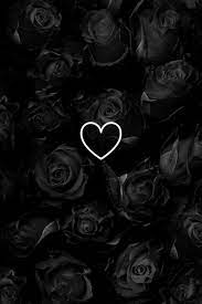 Wallpaper Backgrounds Aesthetics Moonlight Clouds Black Rose Full Moon Dark Aesthetics Black Roses Wallpaper Rose Wallpaper Black Wallpaper Iphone