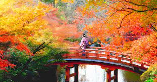 Don't miss one of the best autumn leaves festivals in japan !! Japan Fall Foliage Forecast 2018 8 Best Spots To Experience Autumn