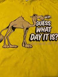 Pillow is 12 x 12 linen in the front and dark brown broad cloth on the back. Guess What Day It Is Cotton Red Medium 11 Gem