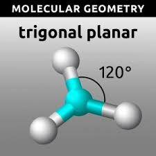 Describe how to measure ph with indicators and meters. Molecular Geometry Worksheet Lab Activity Iteachly Com