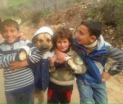 Dunyanin En Guzel Varliklarinin Cocuklar Oldugunu Gosteren 20 Masum Fotograf Fotograf Guzel Hayat Resim