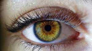 10 cara mengurangi mata minus secara cepat dan alami mata minus memang sangat mengganggu. 6 Ciri Ciri Mata Minus Yang Sering Disepelekan Ketahui Cara Mengatasinya Hot Liputan6 Com
