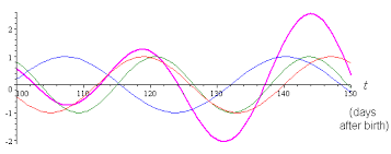 Biorhythm Graphs