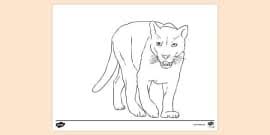 Realistic jungle animal coloring pages. Free Realistic Jungle Animal Colouring Page Colouring Sheets