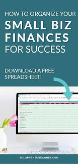How To Organize Your Small Biz Finances For Success Download A Free Spreadsheet In 2020 Profit And Loss Statement Business Finance Small Business Finance