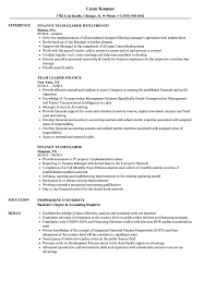 Team leader cvs have to first of all honest; Team Leader Finance Resume Samples Velvet Jobs