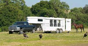 Check spelling or type a new query. Ultimate Horse Trailer Insurance Guide Costs Tips Horsey Hooves