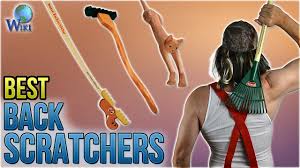 Things tagged with 'backscratcher' (34 things). Cactus Scratcher Review By The Toy And Game Collector