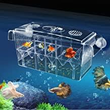 Time and time again, bettas will attack and kill fish that even slightly resemble another betta, such as anything colourful, bright or with large fins. Amazon Com Multiple Betta Fish Tank