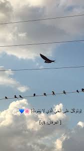 اكسبلور دعاء غيوم سحاب قرآن iphone wallpaper quotes love love quotes wallpaper cover photo quotes