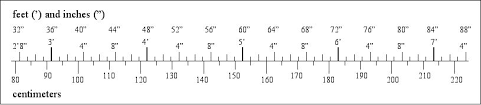 6 feet 1 inches in cm =. 6 Ft 1 In Inches To Cm What Is 6 Feet 5 Inches In Centimeters