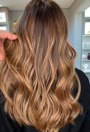 Apricot Lights Brown Hair Honey Highlights Honey Brown Hair Honey Brown Hair Color