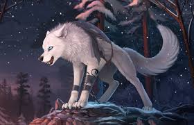 Image of black and red winged wolf clipart dog black wolf red anime. Anime Wolf Wallpaper Hd 2460x1580 Download Hd Wallpaper Wallpapertip