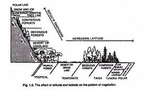 Climate climate influences soil formation through its role in weathering that leads to the formation of soil. Ecological Factors That Affect The Growth Of Plants With Diagrams