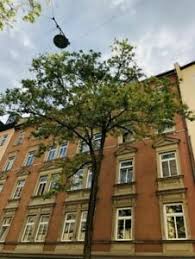 Egal ob zweiraumwohnung, maisonette, loft oder einliegerwohnung :: Privat Eigentumswohnung Kaufen In Munchen Ebay Kleinanzeigen