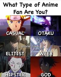 Anime Anime Anime Fan Anime Funny
