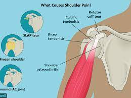 Posterior graphic of the shoulder. Shoulder Pain Causes Treatment And When To See A Doctor