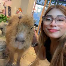 Me when I see any type of flashing lights or sirens at any of my neighbors  houses