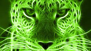 Maybe you would like to learn more about one of these? Cool Cat Lime Green Wallpaper Green Pictures Green Animals