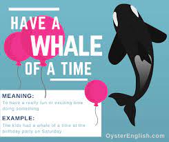 To enjoy yourself very much. Idiom A Whale Of A Time Meaning Examples