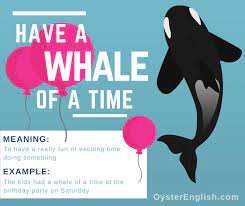 Do you like this video? Idiom A Whale Of A Time Meaning Examples