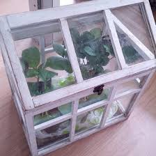 Want the best free diy greenhouse plans? Make A Mini Greenhouse Diy Coldframe Ideas Gardening Channel