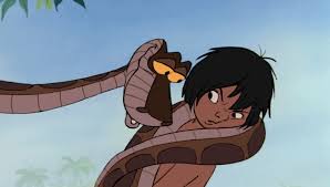 images?q=tbn:ANd9GcTkSX1QivvUTMEJGV1tmk1RQ7LxJD2o6wbpjY8AWBSGMQ7-A2hn