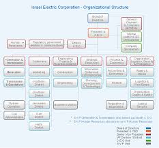 An organizational structure details how certain activities are delegated toward achieving an organization's goal. The Company S Organizational Structure