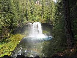 Go Mckenzie River Waterfalls Eugene Cascades Oregon Coast