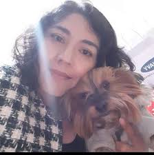 Schnauzer del Continente Americano