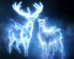 Tumblr Inline My2a3sxvjy1rqnmzo Jpg 500 400 Harry Potter Patronus Harry Potter Stag Snape And Lily