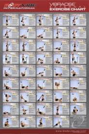 parabody 350 home gym workout chart parabody serious