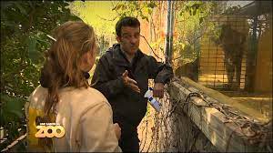 Une saison au zoo les a suivis pendant près de 2 mois. Une Saison Au Zoo Petits Rapaces Tigre Et Fourmilier S1 Ep04 Youtube