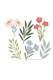 Cute Simple Flower Illustration Prints Drawing In 2020 Flower Illustration Flower Drawing Floral Illustrations