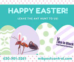 Our services are available to both domestic and commercial clients. Men In Black Pest Control Services Inc Home Facebook